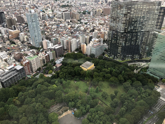 十二社熊野神社、新宿中央公園