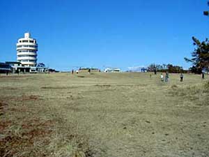 望楼の芝と潮岬観光タワー
