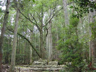 畝畑の高倉神社