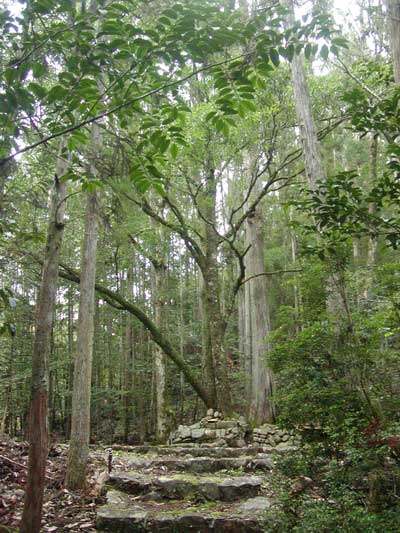 畝畑の高倉神社