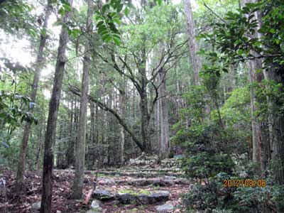 畝畑の高倉神社