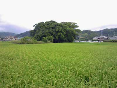 田中神社