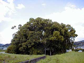 田中神社