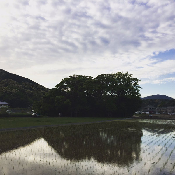 田中神社