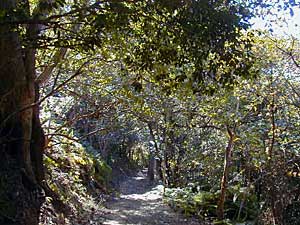 楯が崎遊歩道