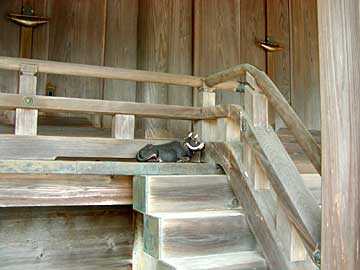 牛鼻神社本殿