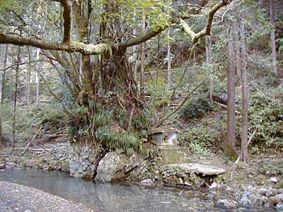 やどかし水神