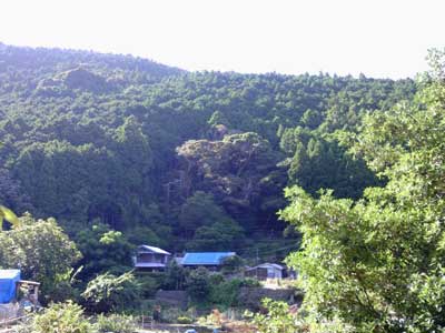 峯の矢倉神社