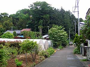 熊野神社遠景