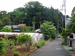 熊野神社遠景