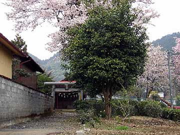 熊野神社