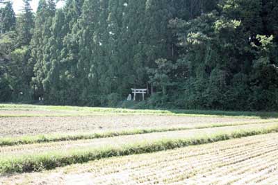 熊野神社遠景