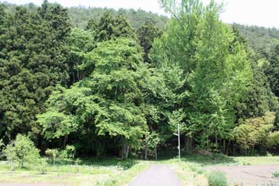 熊野神社遠景