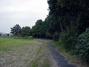 熊野神社西側の鎌倉街道跡