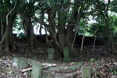 熊野神社遠景