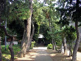 熊野神社参道