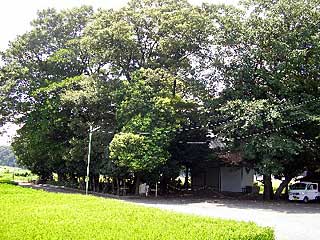 熊野神社遠景