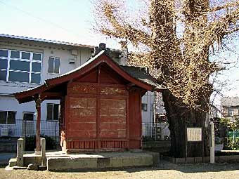 熊野神社周囲