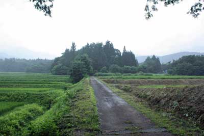 熊野神社参道