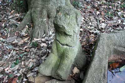 熊野神社狛犬