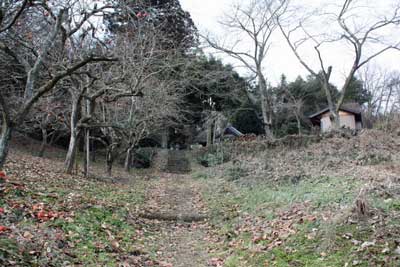 熊野神社遠景