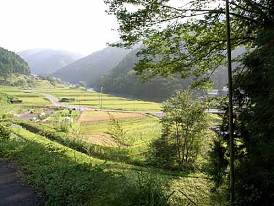 熊野神社周辺