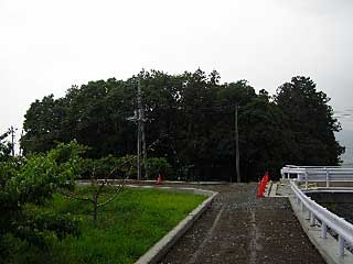 熊野神社遠景