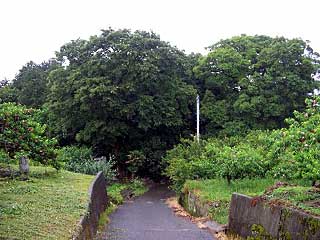 熊野神社遠景