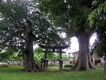 熊野神社境内