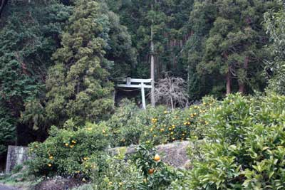 熊野神社遠景