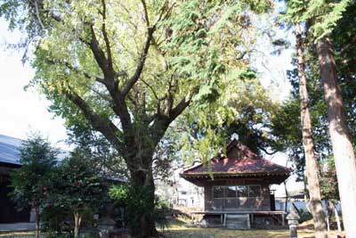 熊野神社境内