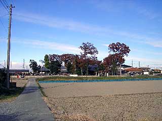 熊野大神社遠景