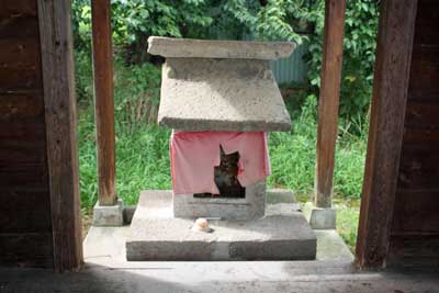 熊野神社本殿