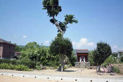 熊野神社遠景