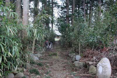 熊野神社参道