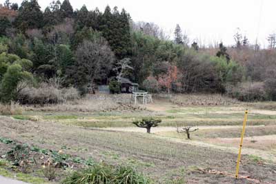 熊野神社遠景