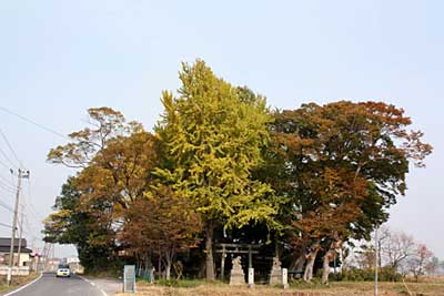 剣神社遠景