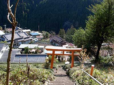 熊野神社境内から