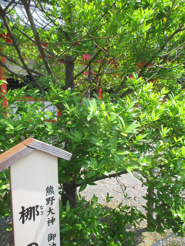 熊野神社