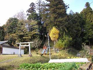 熊野神社遠景