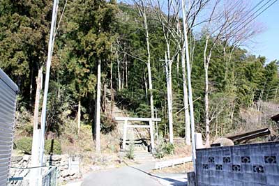 奥沢神社遠景