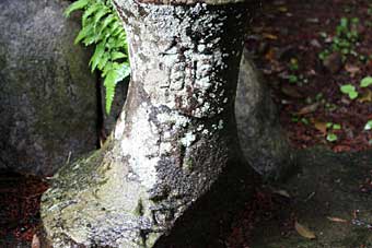 熊野神社石塔