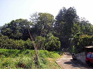 熊野神社遠景