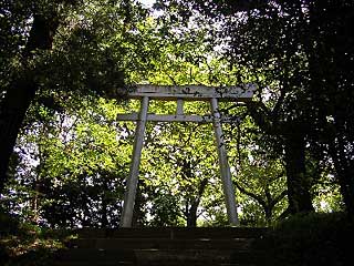 熊野神社鳥居