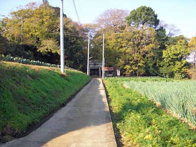 熊野神社遠景