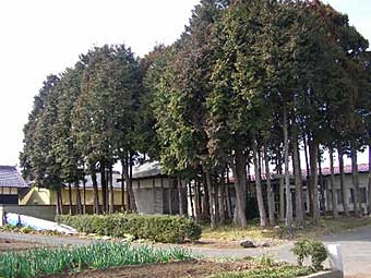 熊野神社遠景