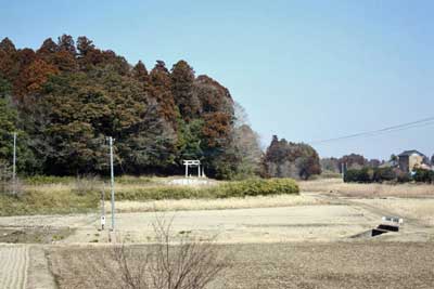 熊野神社遠景