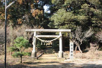 新宮神社鳥居