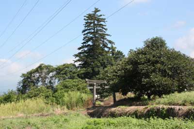 熊野神社鳥居