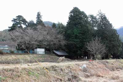 熊野神社遠景